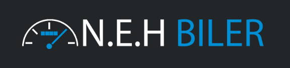 N.E.H logo